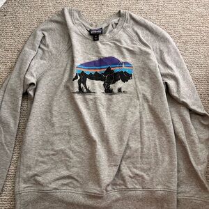 Patagonia Heather Gray Crewneck Sweater with Mountain Graphic